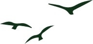 Drei stilisierte Vögel in Formation, die über einer Landschaft im Naturpark Neckartal-Odenwald fliegen.