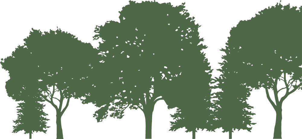 Drei stilisierte Laubbäume mit ausladenden Kronen und schlanken Stämmen in grüner Silhouette, typisch für Odenwälder Mischwald.
