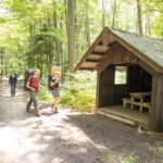 Drei Wanderer mit Rucksäcken und Wanderstöcken auf einem Waldweg im Naturpark Neckartal-Odenwald, vorbei an einer kleinen Holzhütte mit Sitzbank und Infotafel.