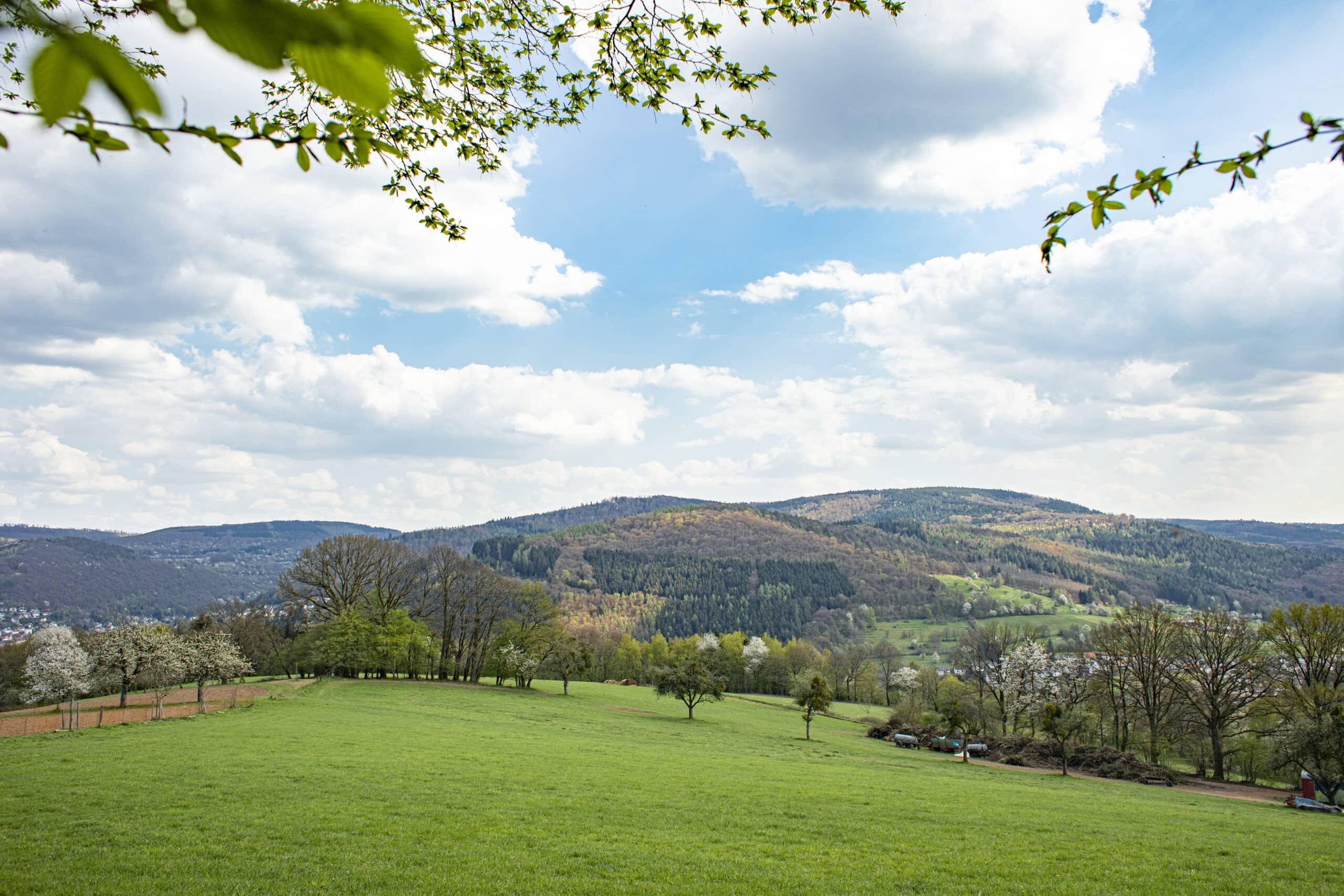 Weite Wiesenlandschaft im Naturpark Neckartal-Odenwald mit blühenden Obstbäumen, bewaldeten Hügeln im Hintergrund und blauem Himmel mit leichten Wolken.
