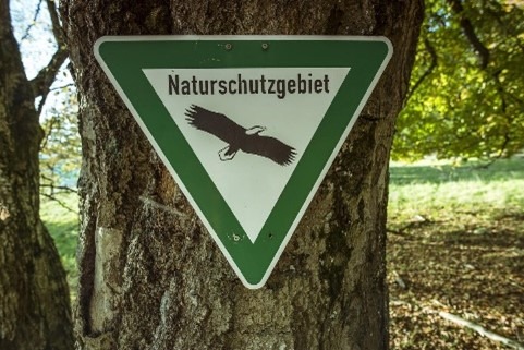 Grün-weißes Dreiecksschild am Baumstamm: Naturschutzgebiet mit Greifvogel-Symbol, Hinweis auf geschützte Natur im Wald.