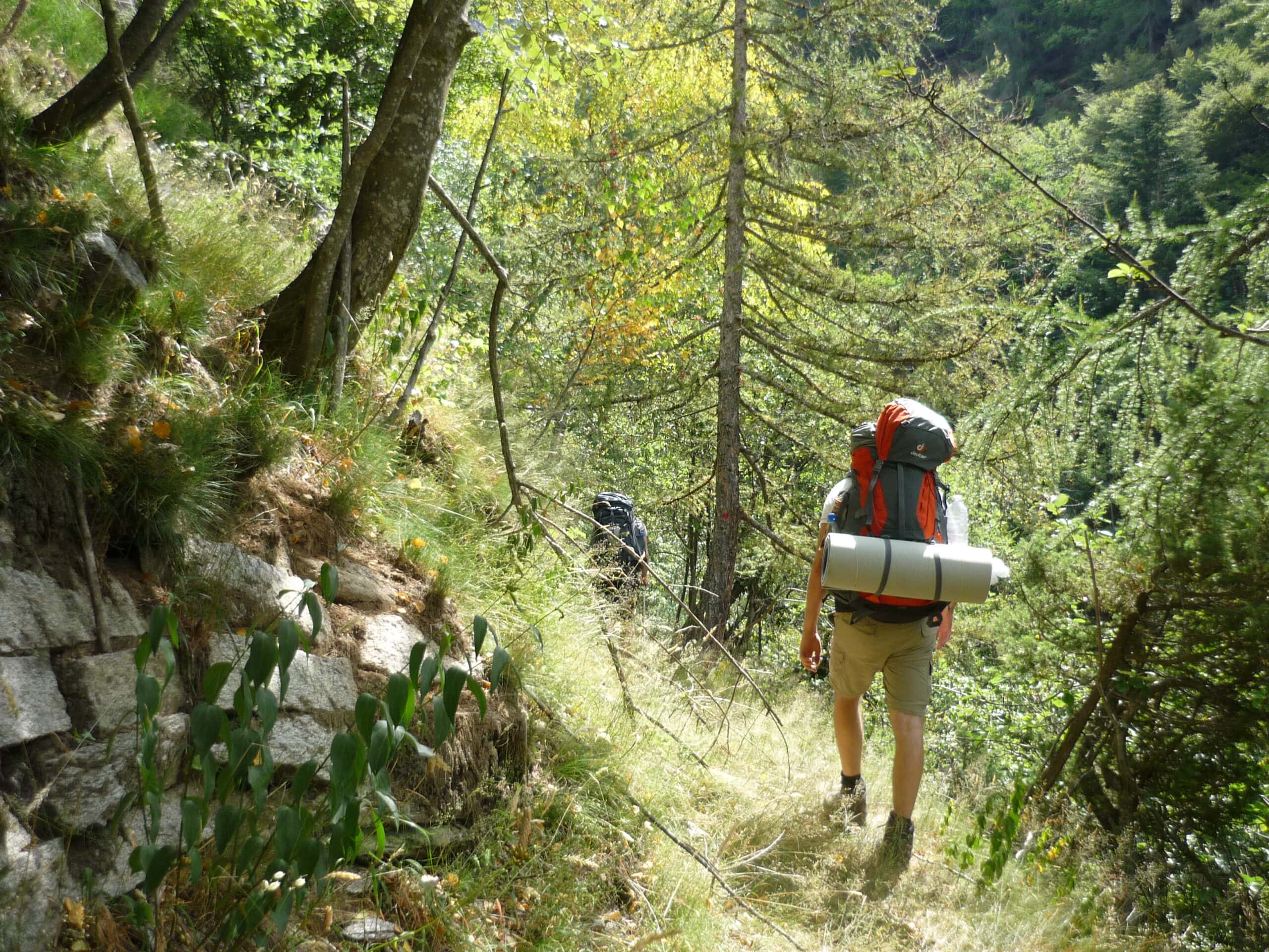 Wanderer mit Rucksack und aufgerollter Isomatte auf schmalem Pfad durch bewachsenes Waldgelände im Naturpark Neckartal-Odenwald.