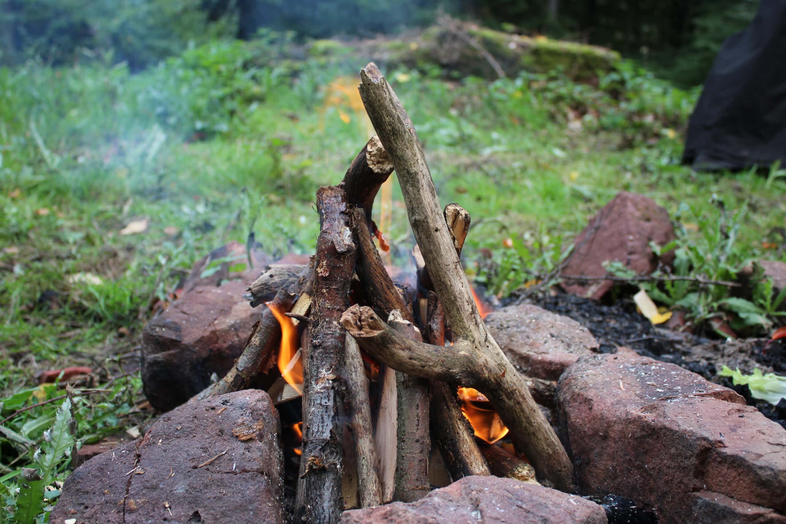 Kleines Lagerfeuer aus dünnen Ästen auf moosbewachsenen Steinen in einem Waldgebiet, umgeben von Grünpflanzen und Laub.