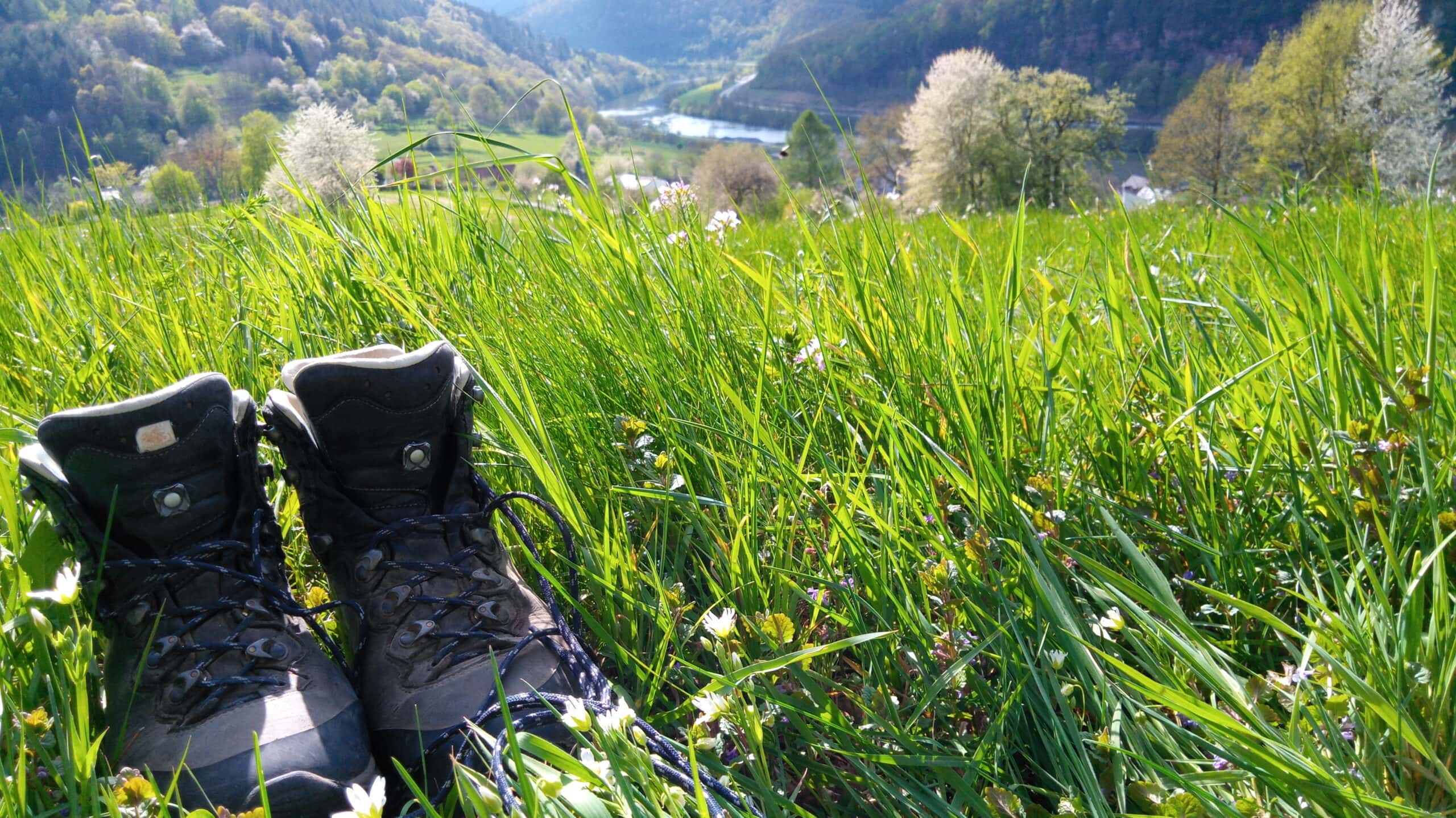 Zwei Wanderstiefel in grünem Grasland mit gelben Blüten, im Hintergrund sanfte Hügel und bewaldete Landschaft.