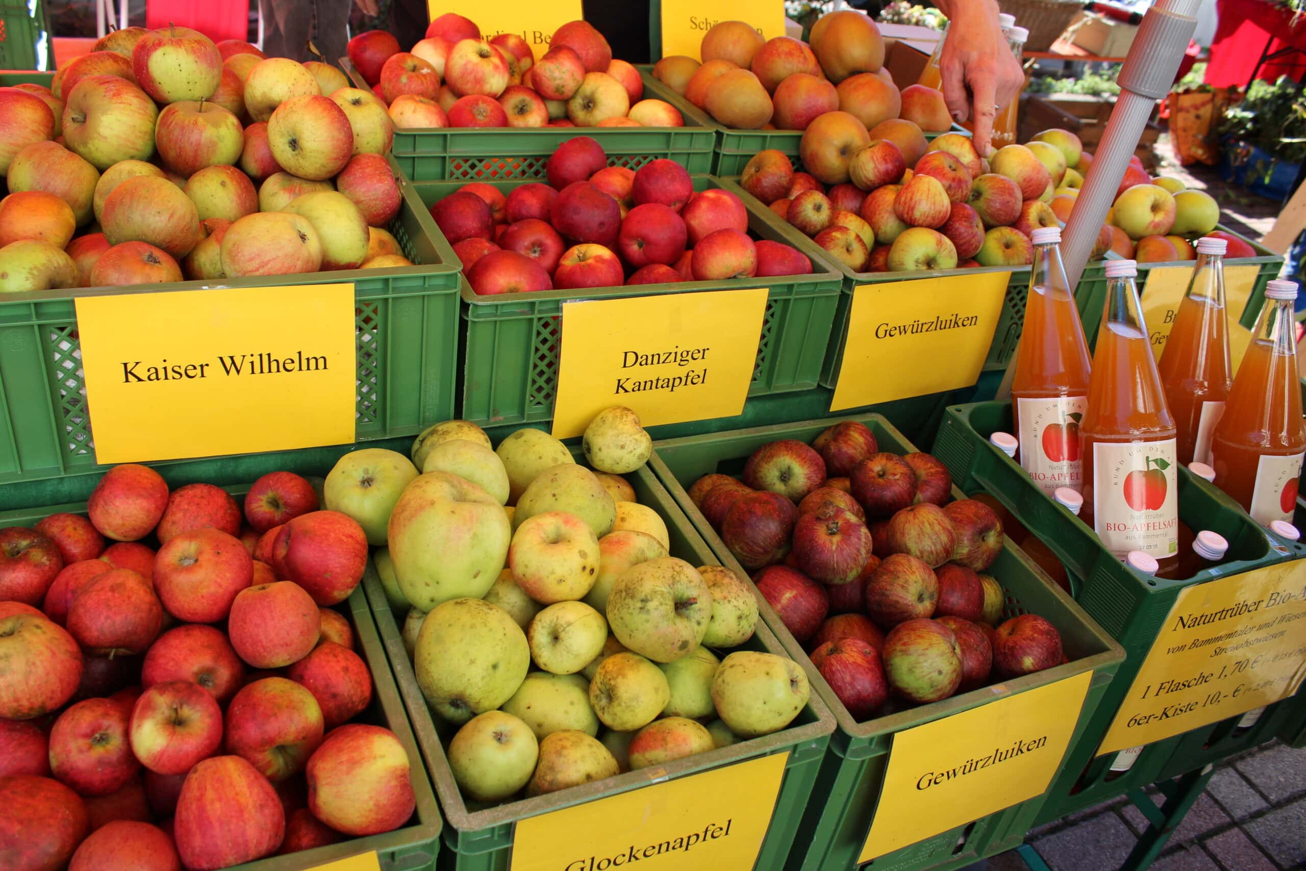 Drei Sorten Äpfel in grünen Kisten: "Kaiser Wilhelm", "Danziger Kantapfel" und "Glockenapfel" auf einem Marktstand.