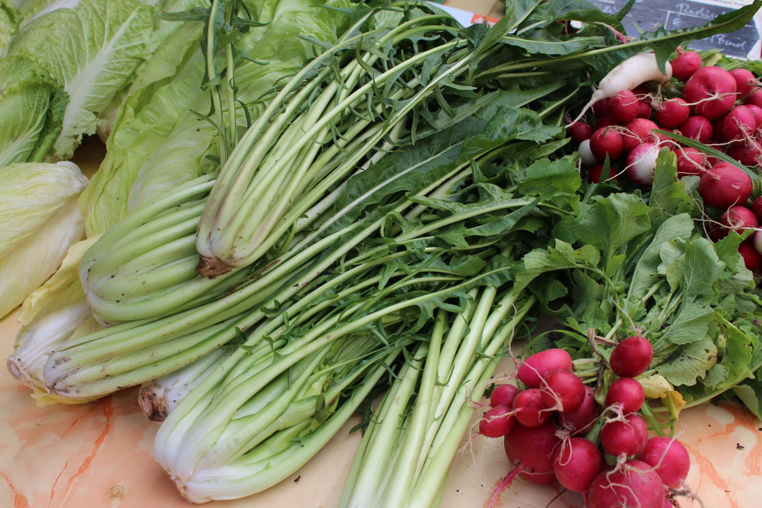 Frisches regionales Gemüse: Bund Fenchel, rote Radieschen und Weißkohl auf Holzunterlage.