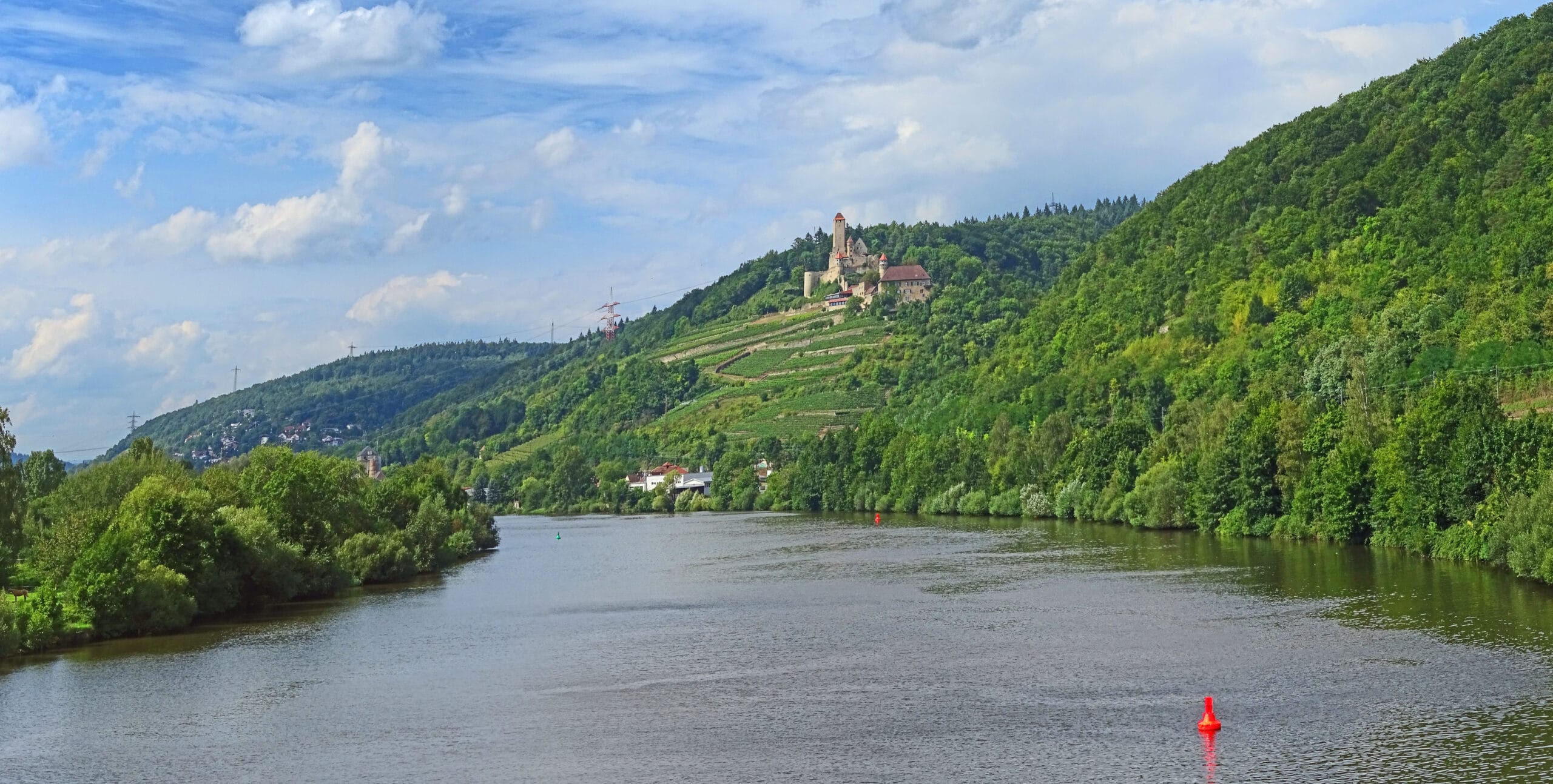 Burgruine Hornberg thront auf bewaldetem Hügel im Neckartal-Odenwald, umgeben von grünen Weinbergen und sanftem Hügelland, mit Flusslauf im Vordergrund.