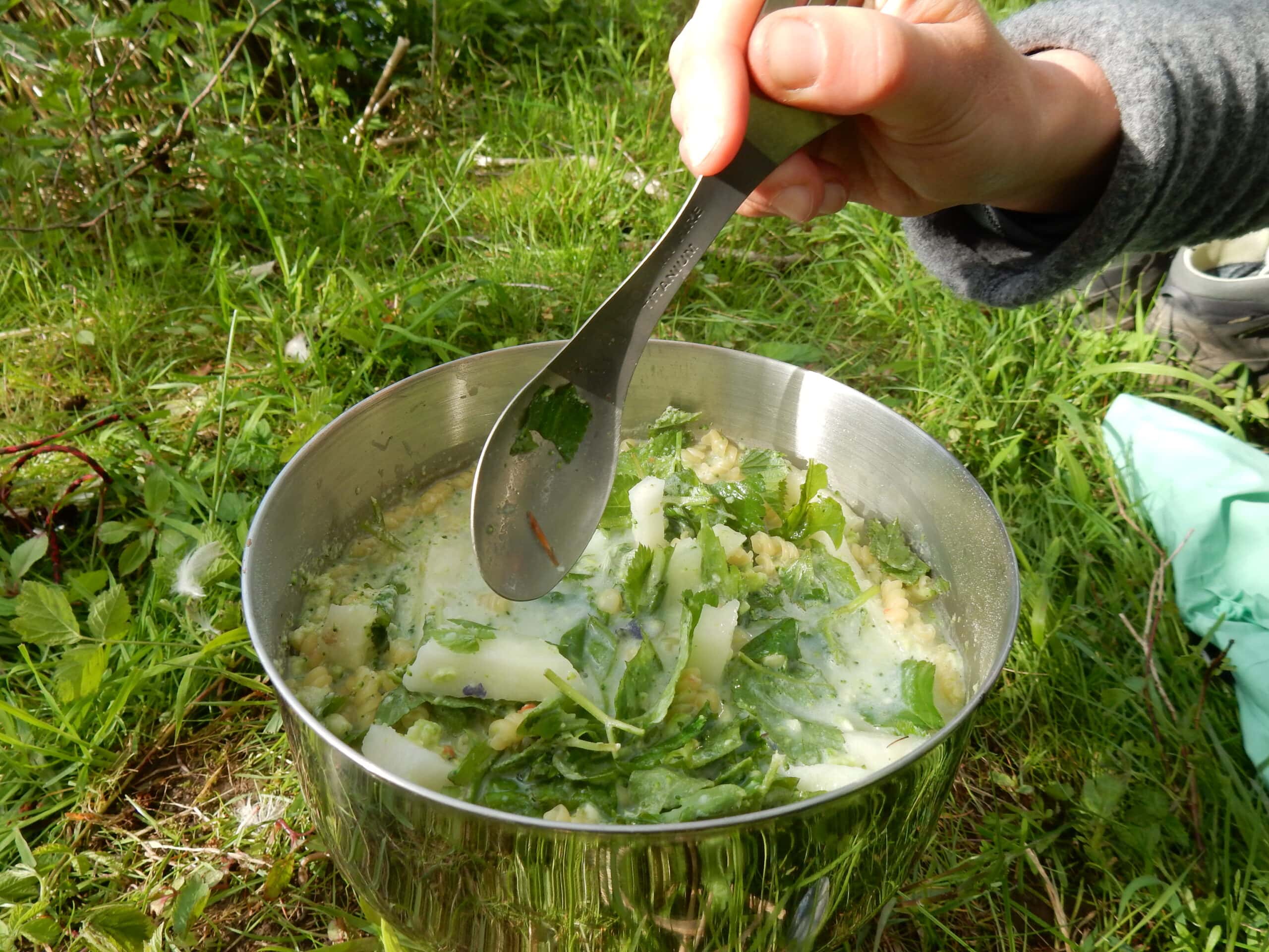 Metallschüssel mit frischem Salat aus grünem Gemüse, Kartoffeln und Kräutern, wird auf einer Wiese mit Kochutensilien angerührt.