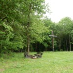 Wegweiser und Holzbank auf einer sonnigen Waldwiese im Naturpark Neckartal-Odenwald, umgeben von grünem Laubwald.