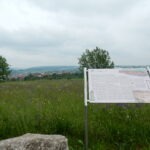 Informative Schautafel zur historischen Stadtbefestigung von Buchen in blühender Wiesenlandschaft mit Blick auf das Neckartal.