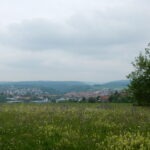 Weite Wiesenlandschaft im Naturpark Neckartal-Odenwald mit blühenden Wildblumen und Blick auf ein Dorf sowie bewaldete Hügel in der Ferne.