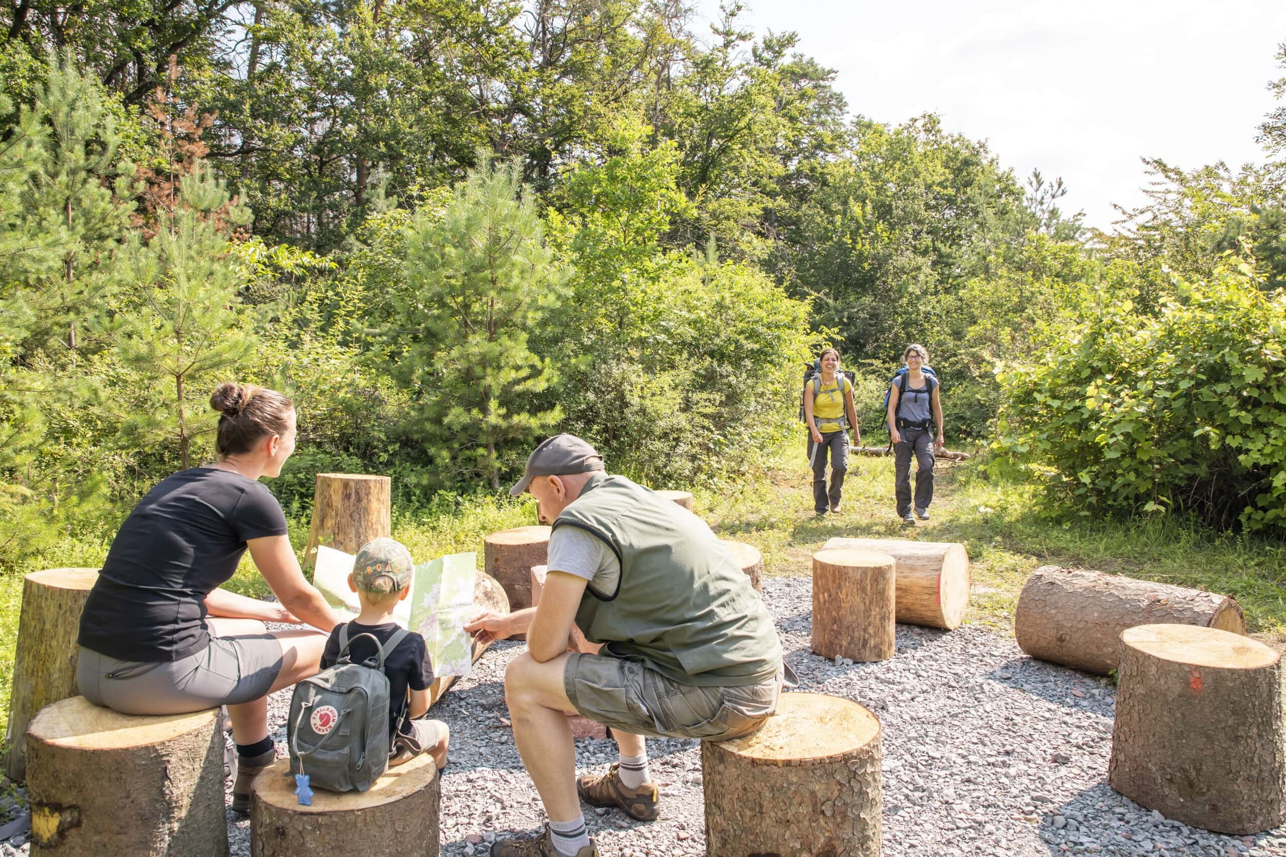 Drei Personen im Naturpark Neckartal-Odenwald besprechen eine Wanderkarte auf Baumstumpf-Sitzen an einer Raststelle mit Waldblick im Hintergrund.