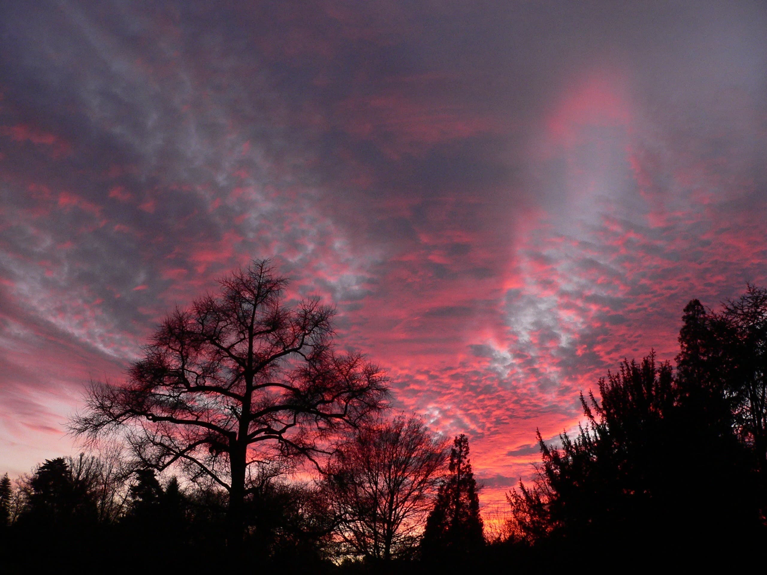 Abendhimmel mit dramatischen Wolken in Rot- und Violetttönen über einem dunklen Wald im Naturpark Neckartal-Odenwald.