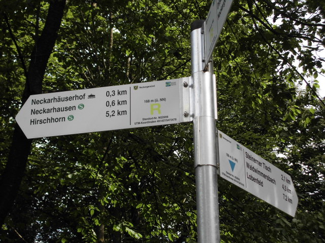Wegweiser im Odenwald mit Richtungen zu Neckarhäuserhof (0,3 km), Neckarhausen (0,6 km) und Hirschhorn (5,2 km) sowie Hinweisen zu Wanderwegen und Radrouten.